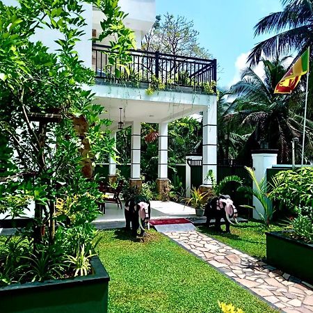 Sri White Villa Airport Boutique Hotel Katunayaka Eksteriør billede