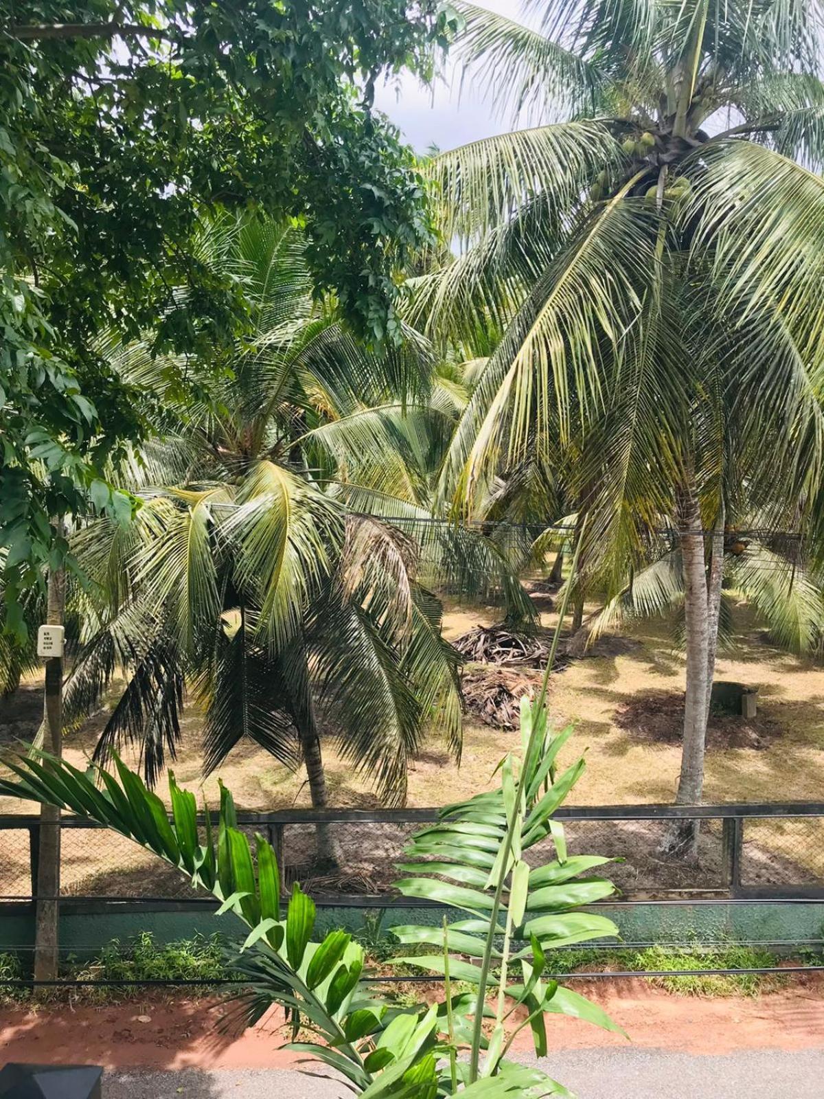 Sri White Villa Airport Boutique Hotel Katunayaka Eksteriør billede