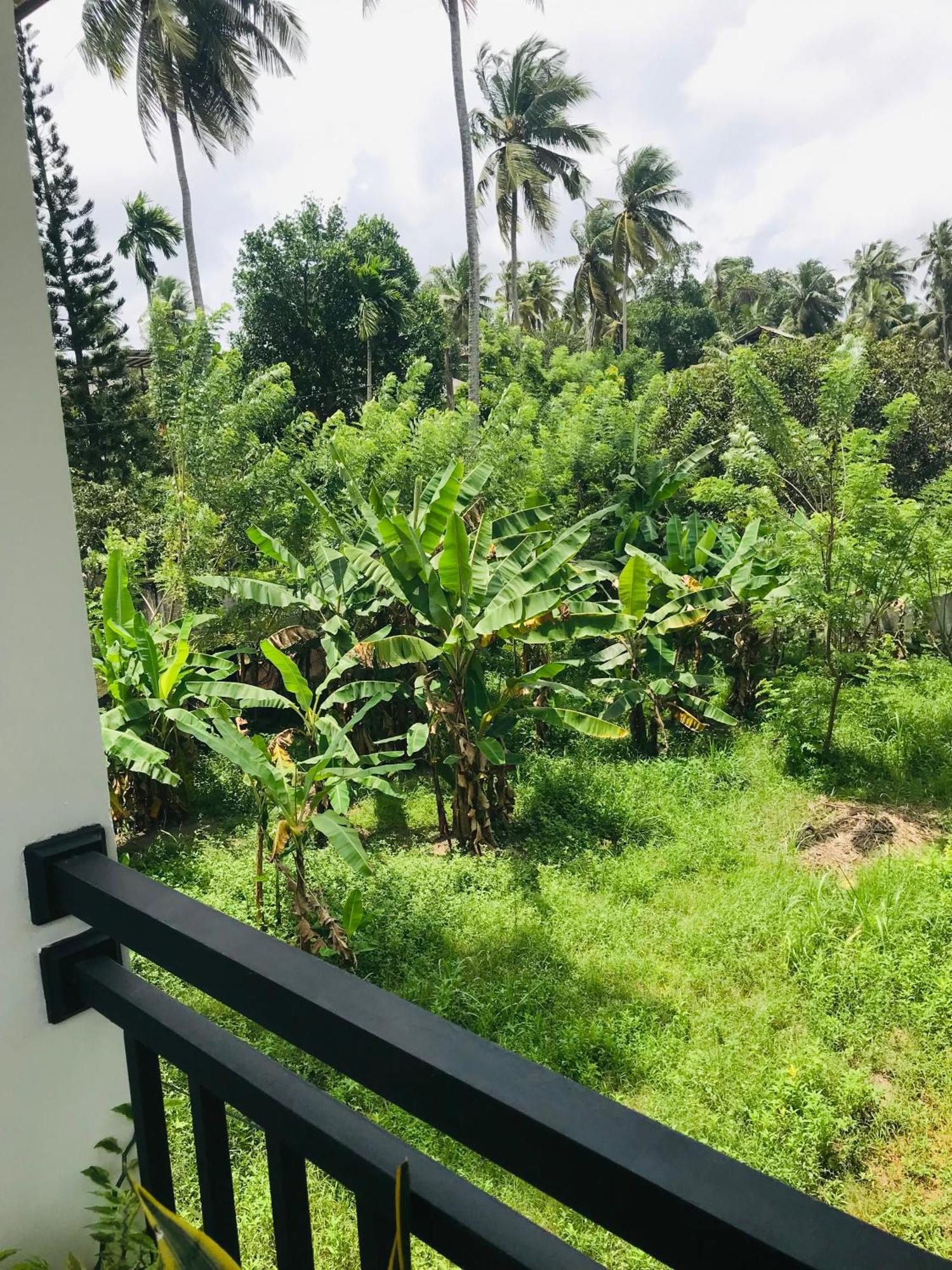 Sri White Villa Airport Boutique Hotel Katunayaka Eksteriør billede